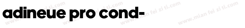 adineue pro cond字体转换